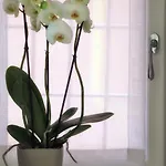 Boutique Apartmán *