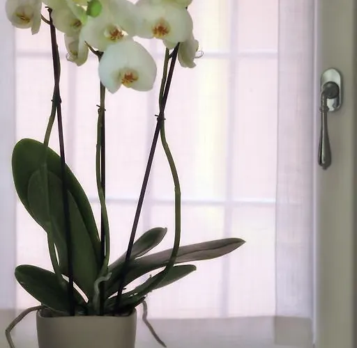 Boutique Apartment *